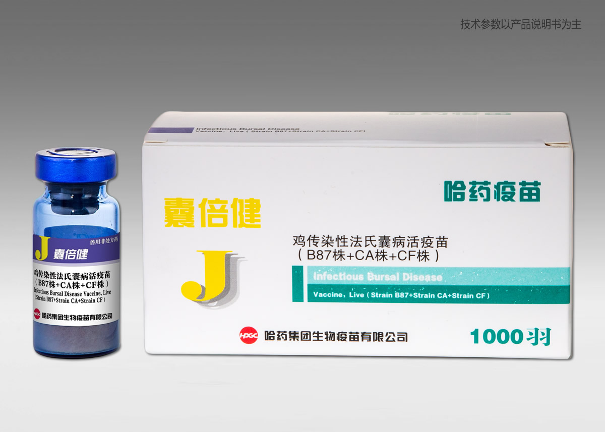 ??????????????????磨B87??+CA??+CF??