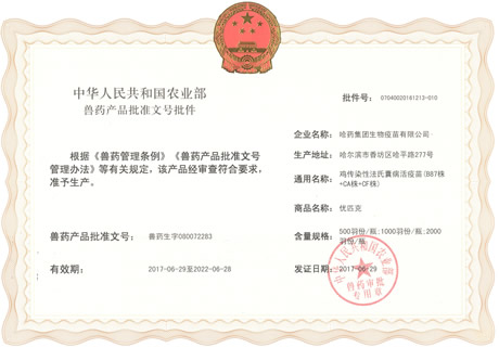 ??????????????????磨B87??+CA??+CF??